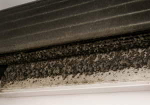 Por Que Só Limpar o Filtro do Ar-Condicionado de Casa Não é Manutenção